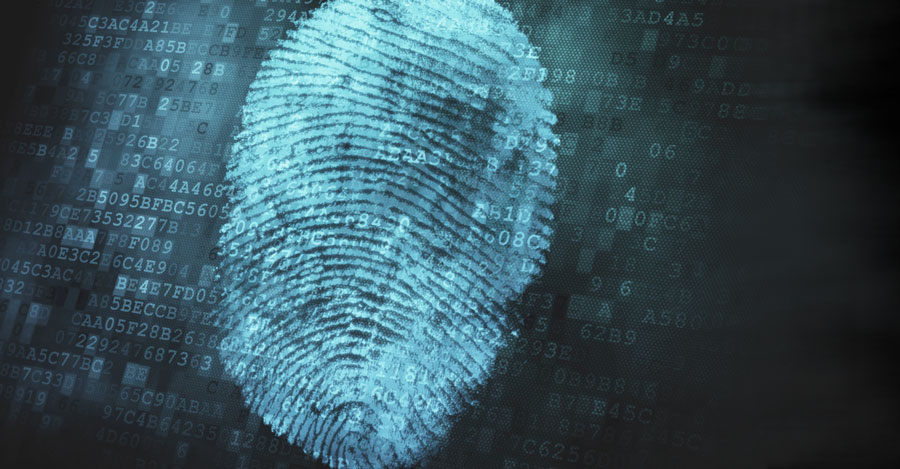 Organizzazione delle elezioni online Autenticazione sicura degli elettori